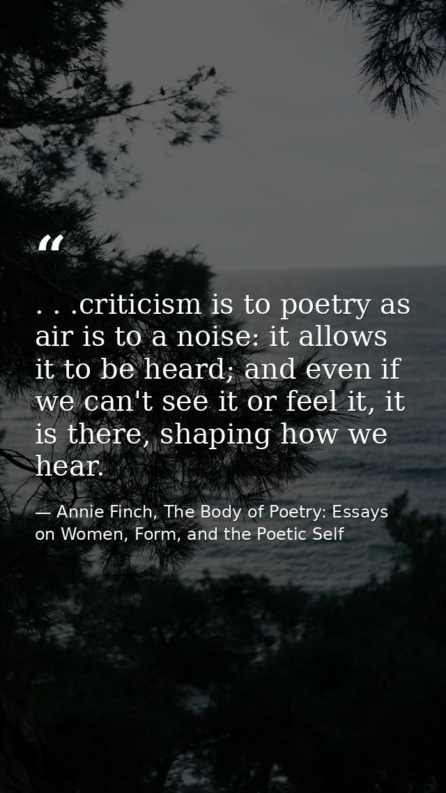 . . .criticism is to poetry as air is to a noise: it allows it to be heard; and even if we can't see it or feel it, it i — Annie Finch, The Body of Poetry: Essays on Women, Form, and the Poetic Self