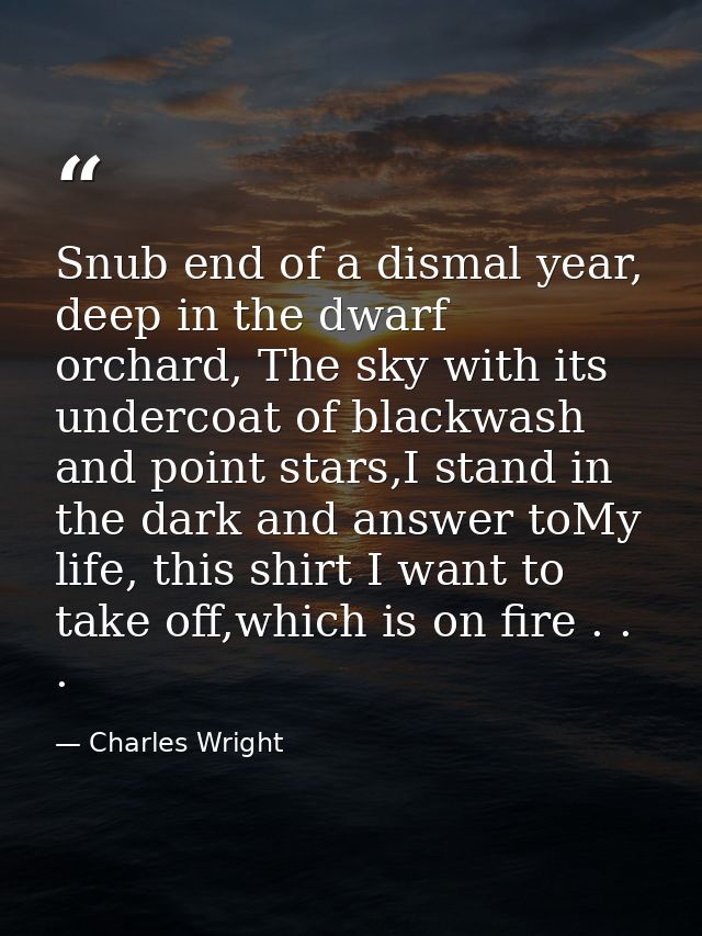 Snub end of a dismal year, deep in the dwarf orchard, The sky with its undercoat of blackwash and point stars,I stand in — Charles Wright