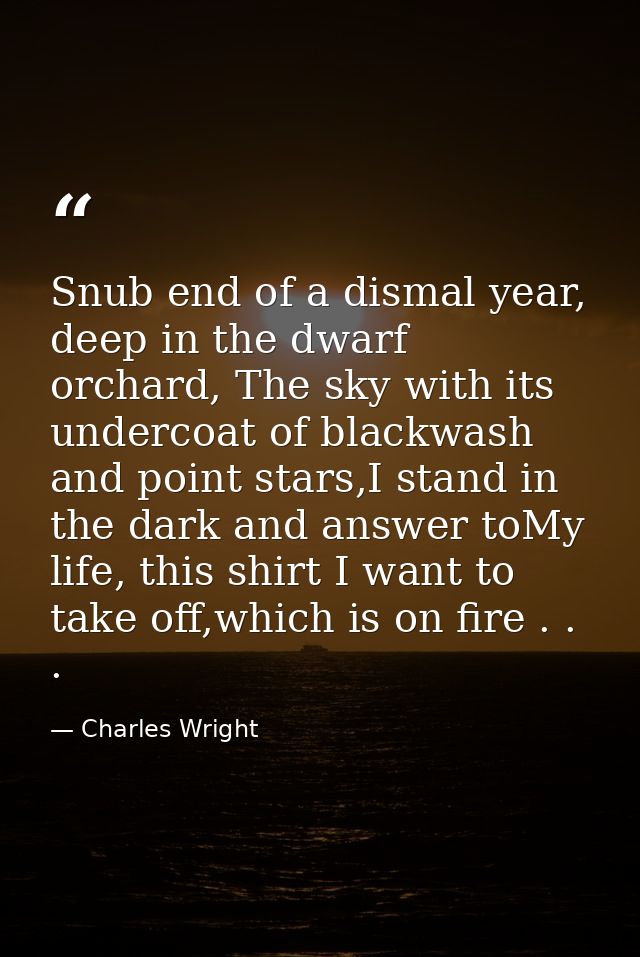 Snub end of a dismal year, deep in the dwarf orchard, The sky with its undercoat of blackwash and point stars,I stand in — Charles Wright