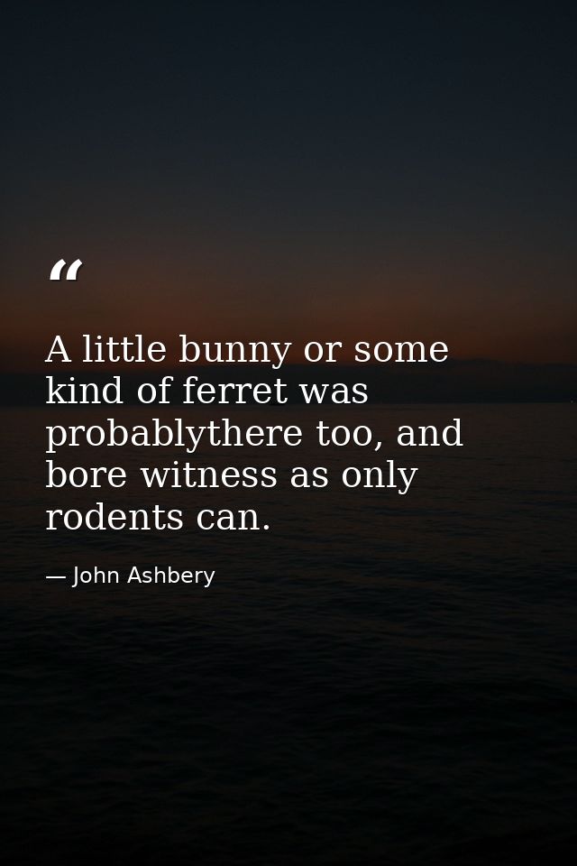 A little bunny or some kind of ferret was probablythere too, and bore witness as only rodents can. — John Ashbery