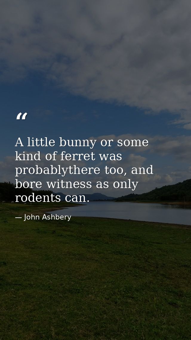 A little bunny or some kind of ferret was probablythere too, and bore witness as only rodents can. — John Ashbery
