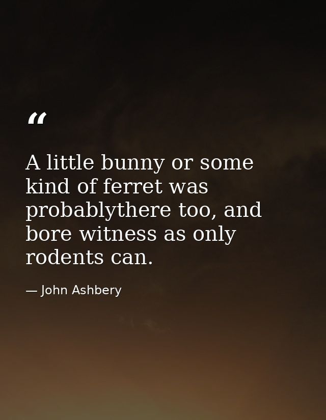 A little bunny or some kind of ferret was probablythere too, and bore witness as only rodents can. — John Ashbery