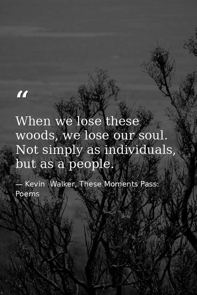 When we lose these woods, we lose our soul. Not simply as individuals, but as a people. — Kevin  Walker, These Moments Pass: Poems