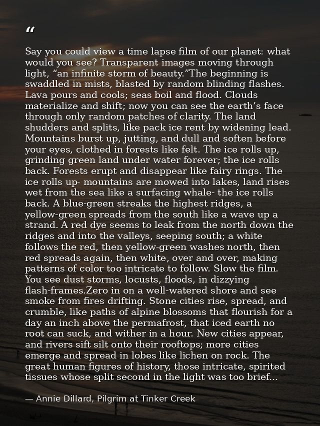 Say you could view a time lapse film of our planet: what would you see? Transparent images moving through light, “an inf — Annie Dillard, Pilgrim at Tinker Creek