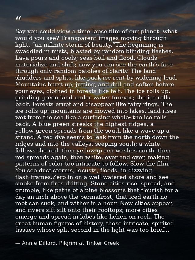 Say you could view a time lapse film of our planet: what would you see? Transparent images moving through light, “an inf — Annie Dillard, Pilgrim at Tinker Creek