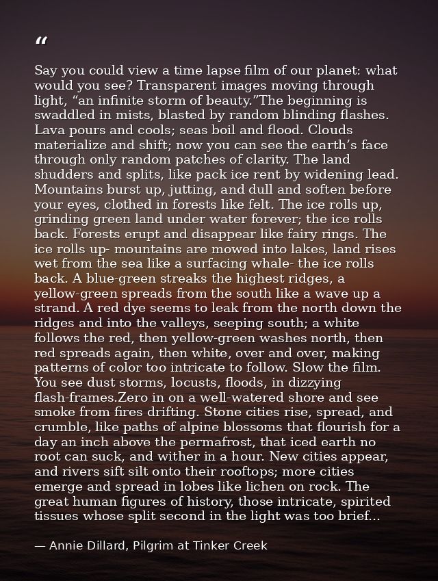 Say you could view a time lapse film of our planet: what would you see? Transparent images moving through light, “an inf — Annie Dillard, Pilgrim at Tinker Creek