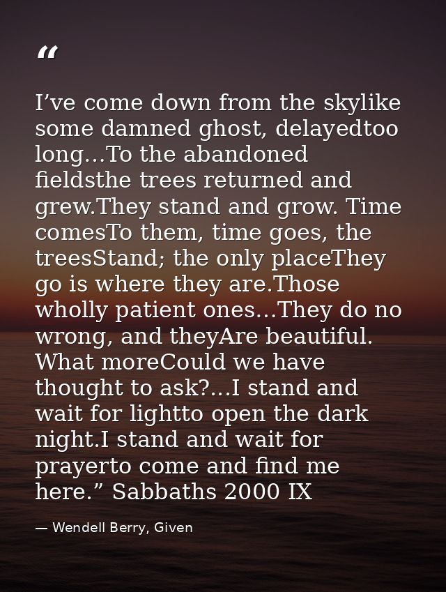 I’ve come down from the skylike some damned ghost, delayedtoo long…To the abandoned fieldsthe trees returned and grew.Th — Wendell Berry, Given