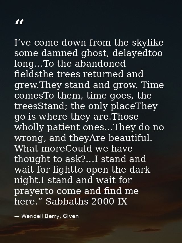 I’ve come down from the skylike some damned ghost, delayedtoo long…To the abandoned fieldsthe trees returned and grew.Th — Wendell Berry, Given