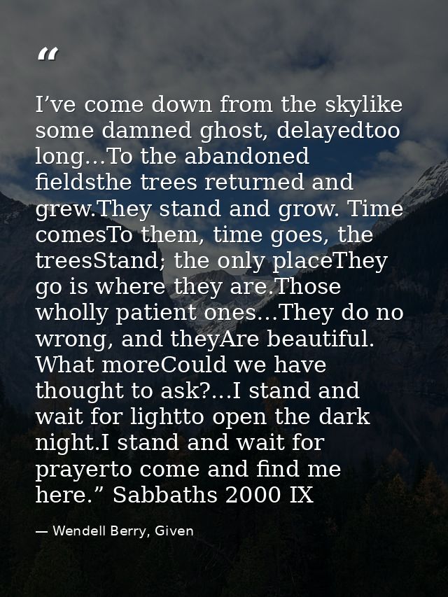 I’ve come down from the skylike some damned ghost, delayedtoo long…To the abandoned fieldsthe trees returned and grew.Th — Wendell Berry, Given
