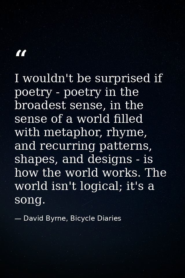 I wouldn't be surprised if poetry - poetry in the broadest sense, in the sense of a world filled with metaphor, rhyme, a — David Byrne, Bicycle Diaries