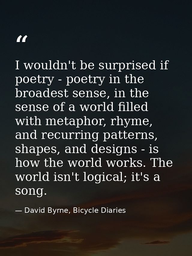 I wouldn't be surprised if poetry - poetry in the broadest sense, in the sense of a world filled with metaphor, rhyme, a — David Byrne, Bicycle Diaries