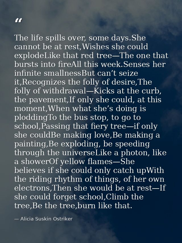 The life spills over, some days.She cannot be at rest,Wishes she could explodeLike that red tree—The one that bursts int — Alicia Suskin Ostriker