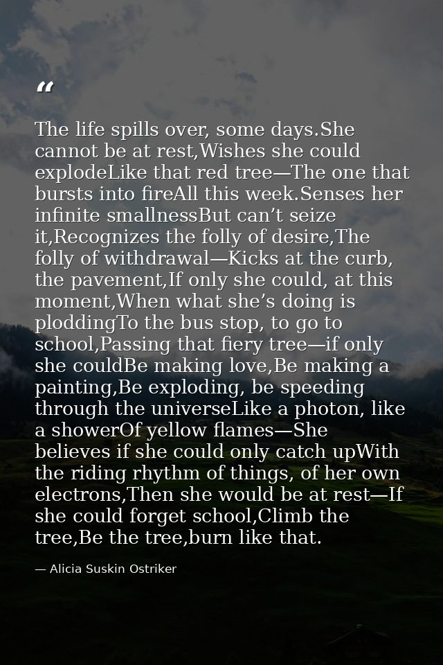 The life spills over, some days.She cannot be at rest,Wishes she could explodeLike that red tree—The one that bursts int — Alicia Suskin Ostriker
