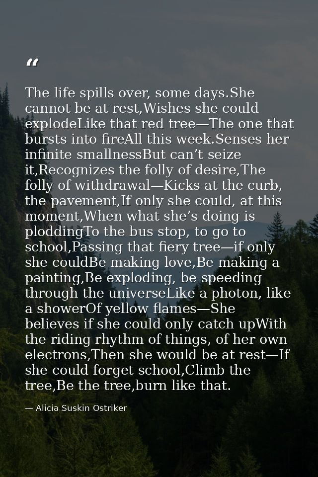 The life spills over, some days.She cannot be at rest,Wishes she could explodeLike that red tree—The one that bursts int — Alicia Suskin Ostriker