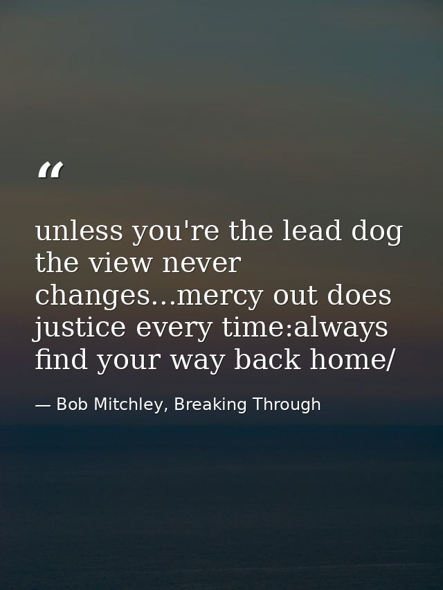 unless you're the lead dog the view never changes...mercy out does justice every time:always find your way back home/ — Bob Mitchley, Breaking Through