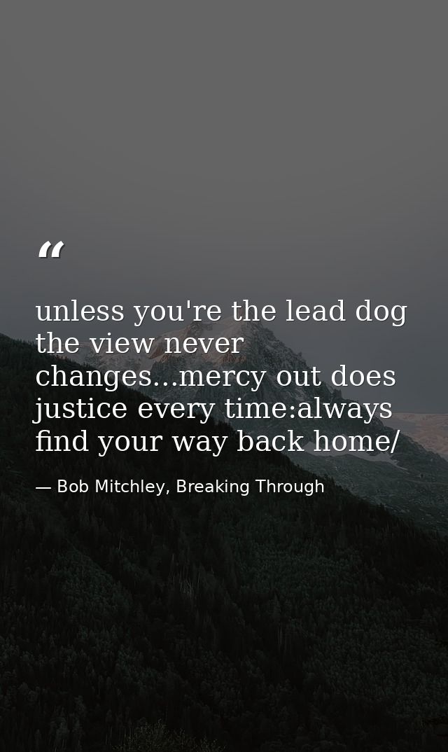 unless you're the lead dog the view never changes...mercy out does justice every time:always find your way back home/ — Bob Mitchley, Breaking Through