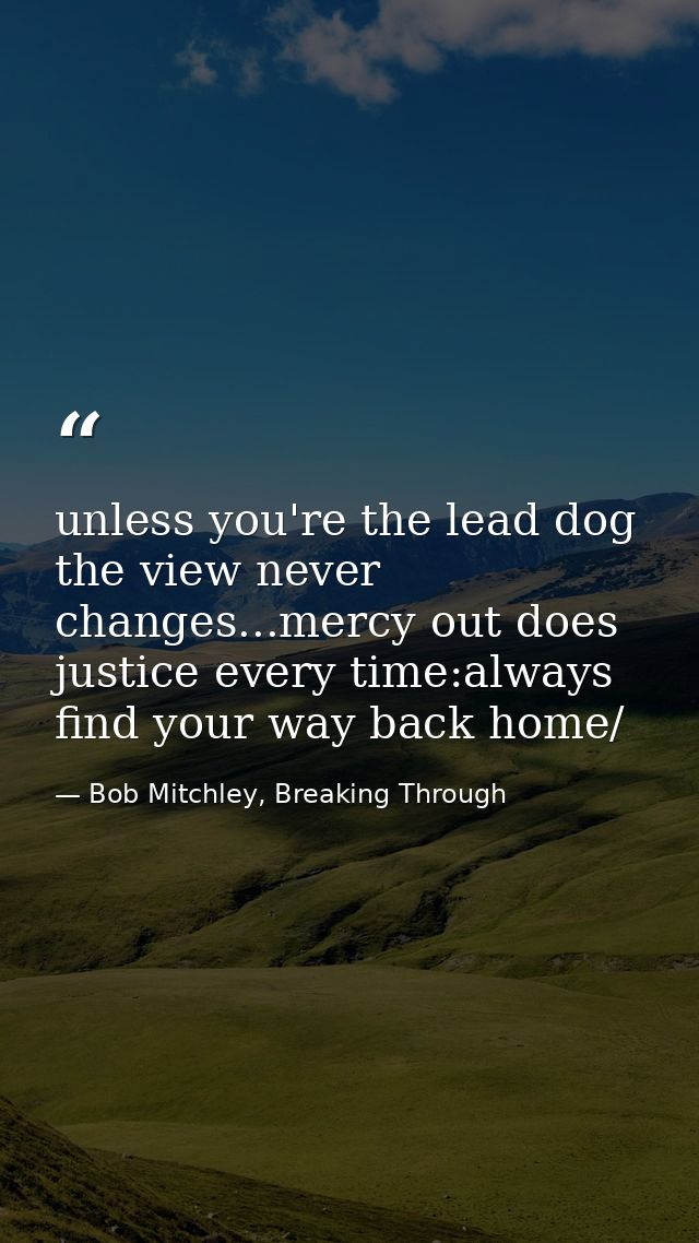 unless you're the lead dog the view never changes...mercy out does justice every time:always find your way back home/ — Bob Mitchley, Breaking Through