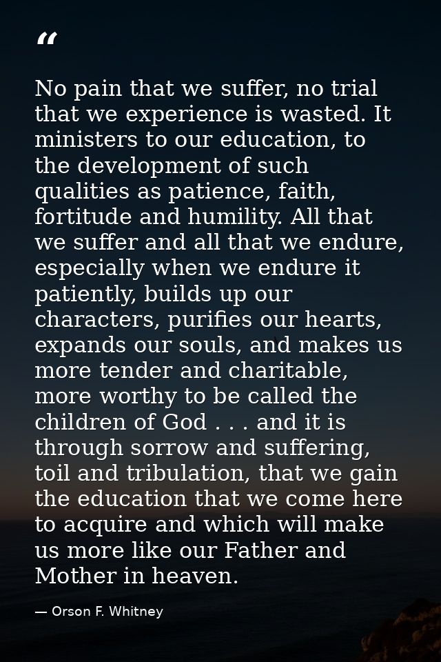 No pain that we suffer, no trial that we experience is wasted. It ministers to our education, to the development of such — Orson F. Whitney