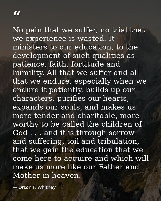 No pain that we suffer, no trial that we experience is wasted. It ministers to our education, to the development of such — Orson F. Whitney