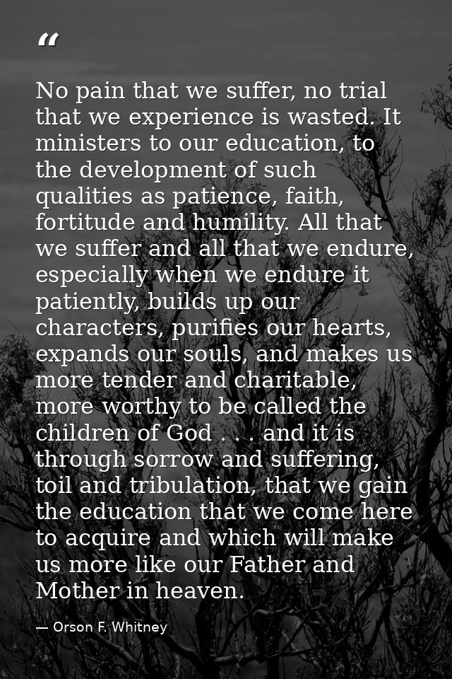 No pain that we suffer, no trial that we experience is wasted. It ministers to our education, to the development of such — Orson F. Whitney