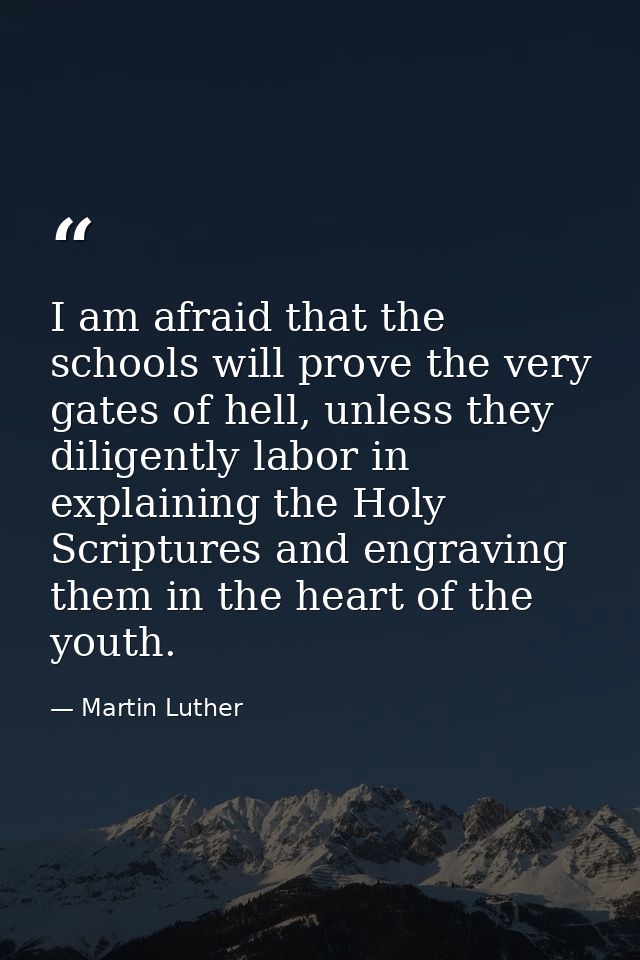 I am afraid that the schools will prove the very gates of hell, unless they diligently labor in explaining the Holy Scri — Martin Luther