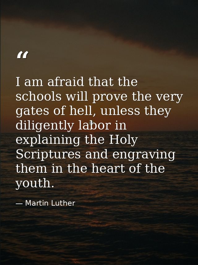 I am afraid that the schools will prove the very gates of hell, unless they diligently labor in explaining the Holy Scri — Martin Luther