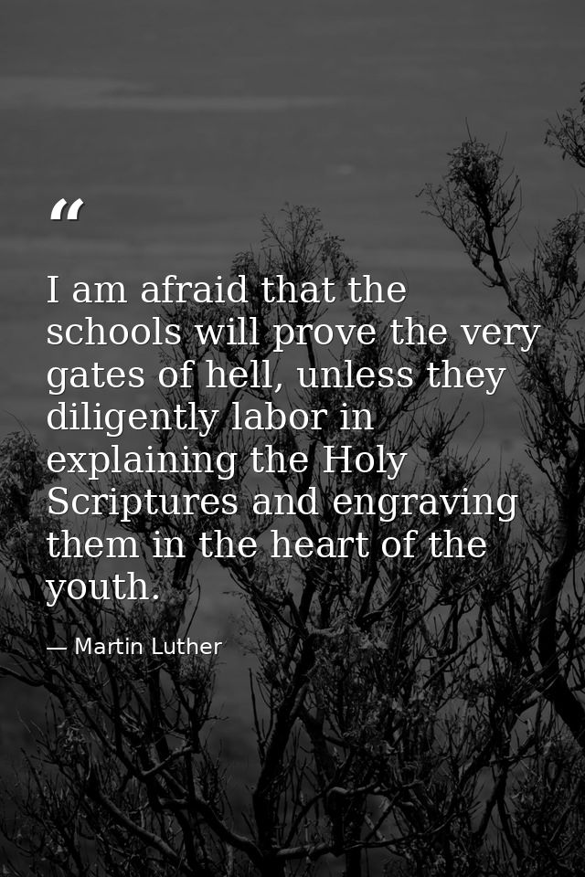 I am afraid that the schools will prove the very gates of hell, unless they diligently labor in explaining the Holy Scri — Martin Luther