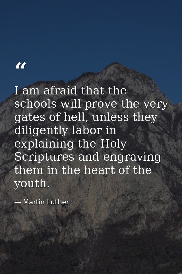 I am afraid that the schools will prove the very gates of hell, unless they diligently labor in explaining the Holy Scri — Martin Luther