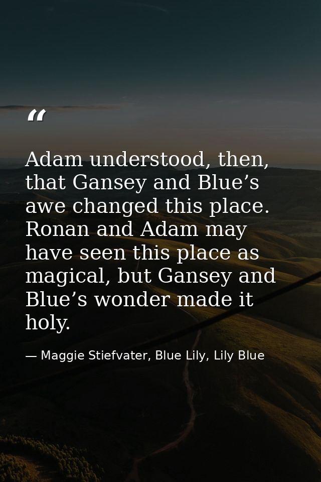 Adam understood, then, that Gansey and Blue’s awe changed this place. Ronan and Adam may have seen this place as magical — Maggie Stiefvater, Blue Lily, Lily Blue