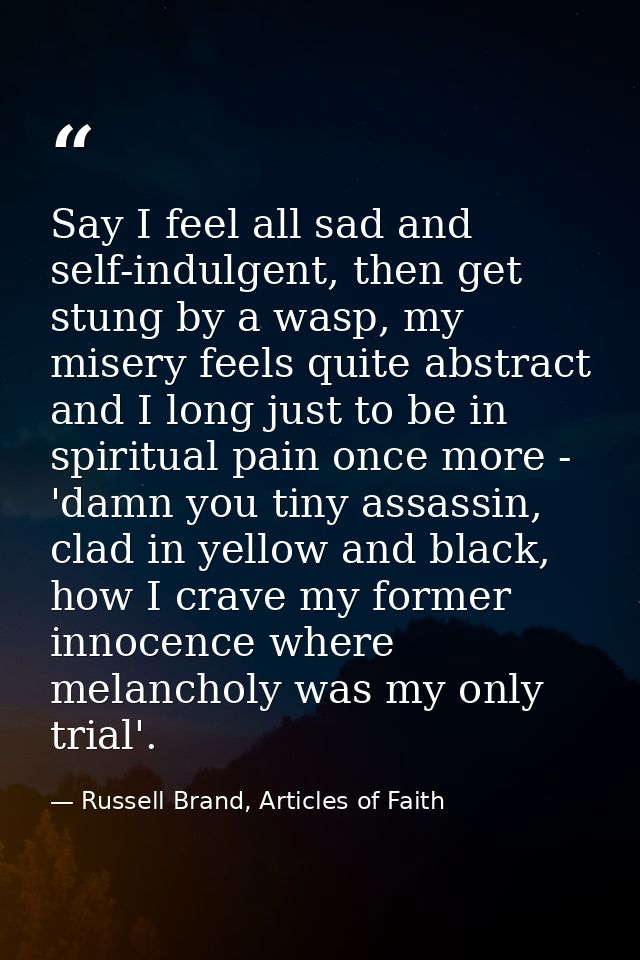 Say I feel all sad and self-indulgent, then get stung by a wasp, my misery feels quite abstract and I long just to be in — Russell Brand, Articles of Faith