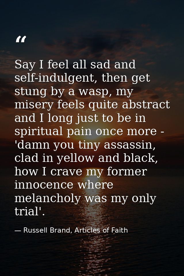 Say I feel all sad and self-indulgent, then get stung by a wasp, my misery feels quite abstract and I long just to be in — Russell Brand, Articles of Faith