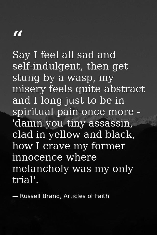 Say I feel all sad and self-indulgent, then get stung by a wasp, my misery feels quite abstract and I long just to be in — Russell Brand, Articles of Faith