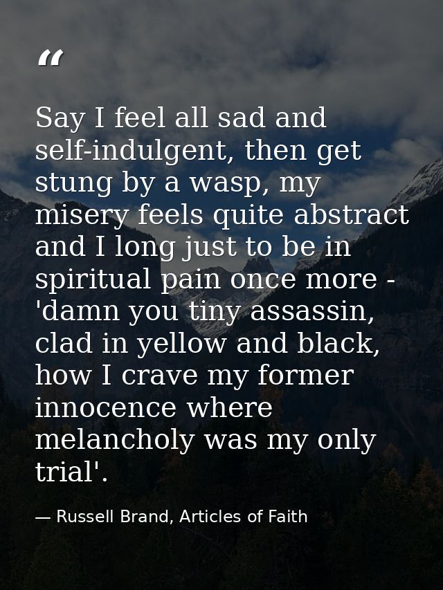 Say I feel all sad and self-indulgent, then get stung by a wasp, my misery feels quite abstract and I long just to be in — Russell Brand, Articles of Faith