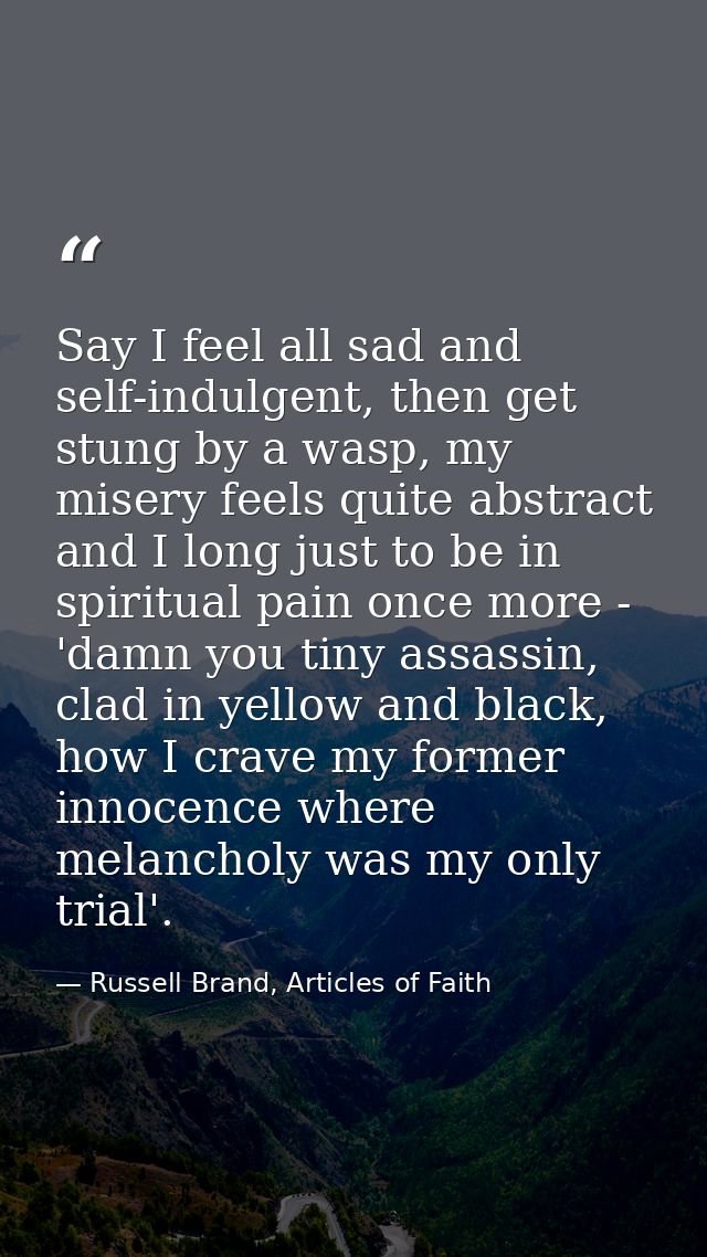Say I feel all sad and self-indulgent, then get stung by a wasp, my misery feels quite abstract and I long just to be in — Russell Brand, Articles of Faith
