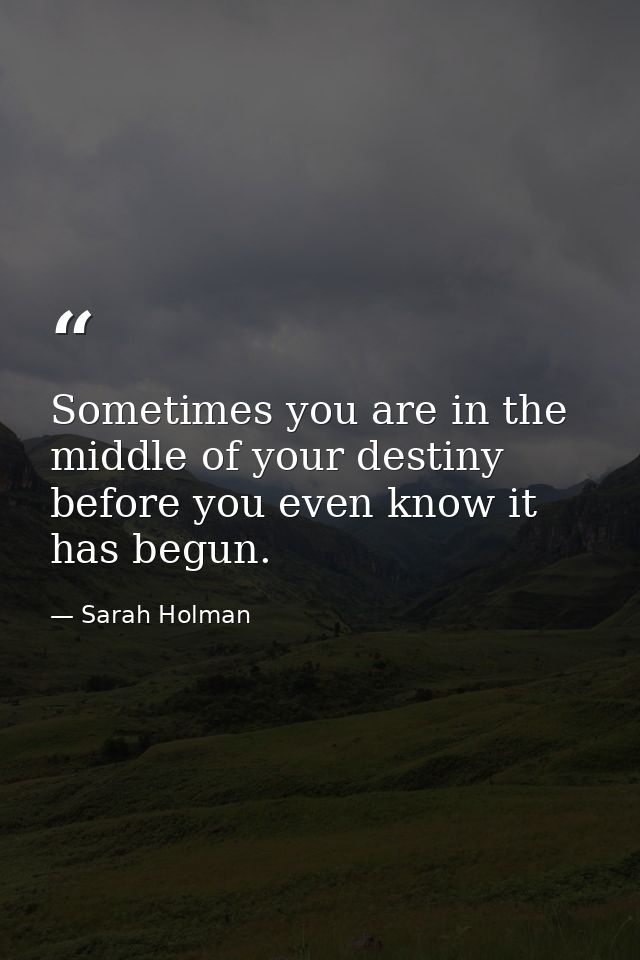 Sometimes you are in the middle of your destiny before you even know it has begun. — Sarah Holman