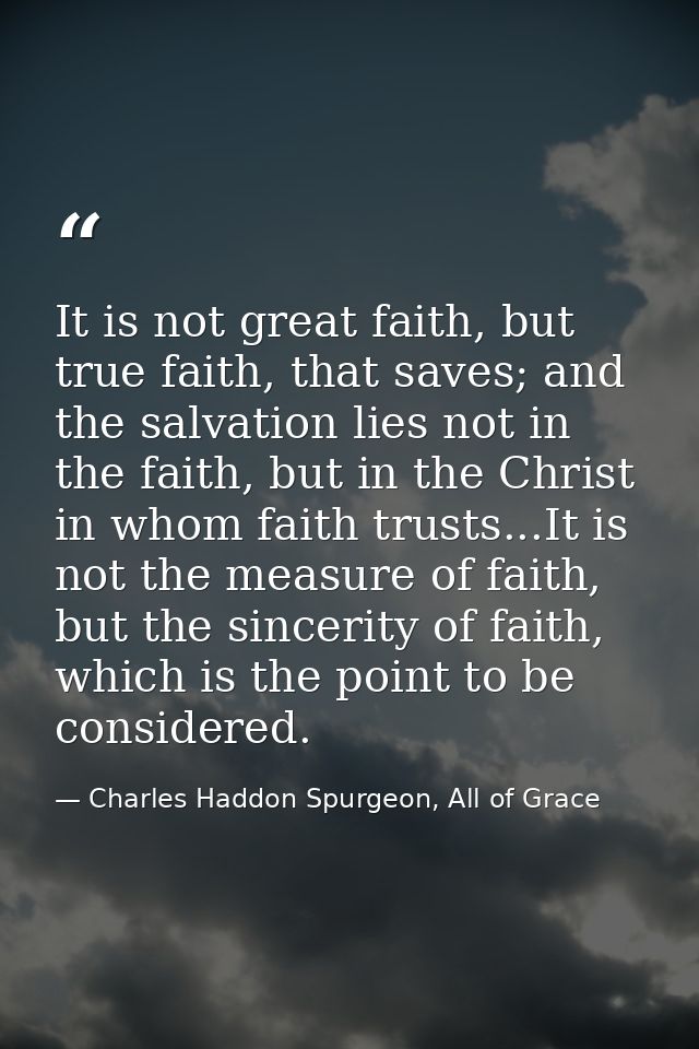 It is not great faith, but true faith, that saves; and the salvation lies not in the faith, but in the Christ in whom fa — Charles Haddon Spurgeon, All of Grace