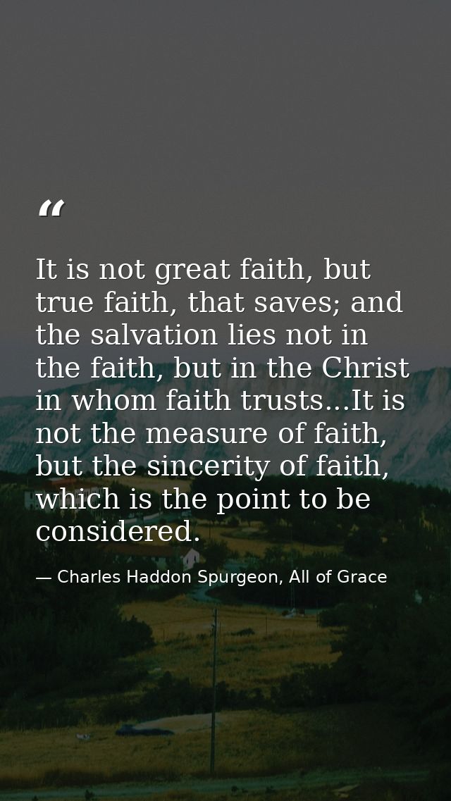 It is not great faith, but true faith, that saves; and the salvation lies not in the faith, but in the Christ in whom fa — Charles Haddon Spurgeon, All of Grace