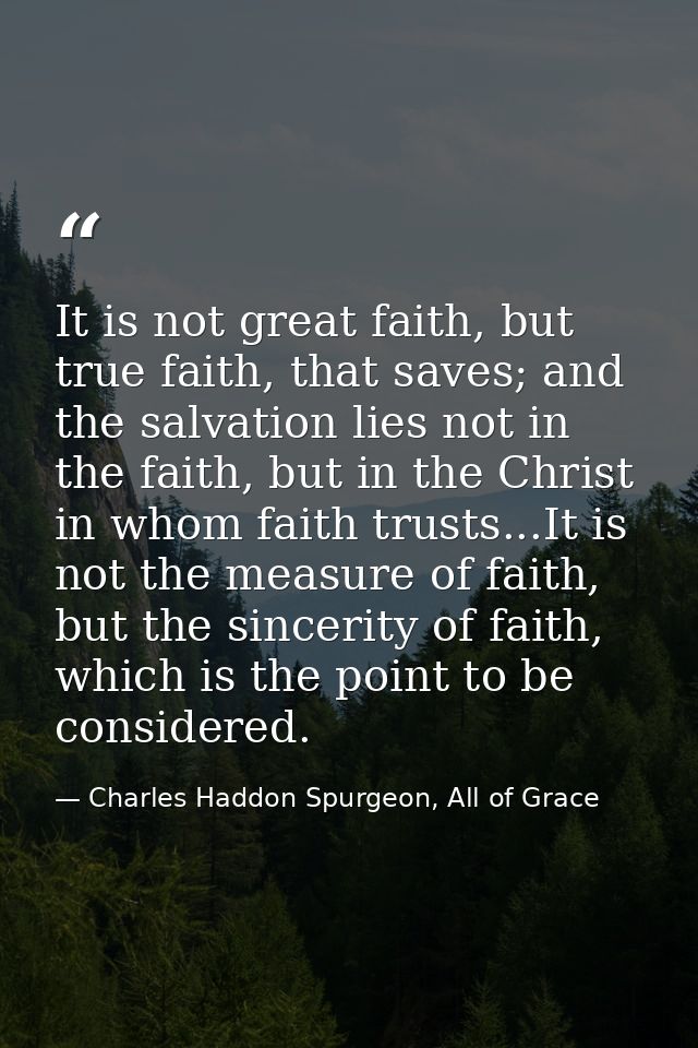 It is not great faith, but true faith, that saves; and the salvation lies not in the faith, but in the Christ in whom fa — Charles Haddon Spurgeon, All of Grace