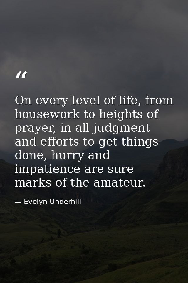 On every level of life, from housework to heights of prayer, in all judgment and efforts to get things done, hurry and i — Evelyn Underhill