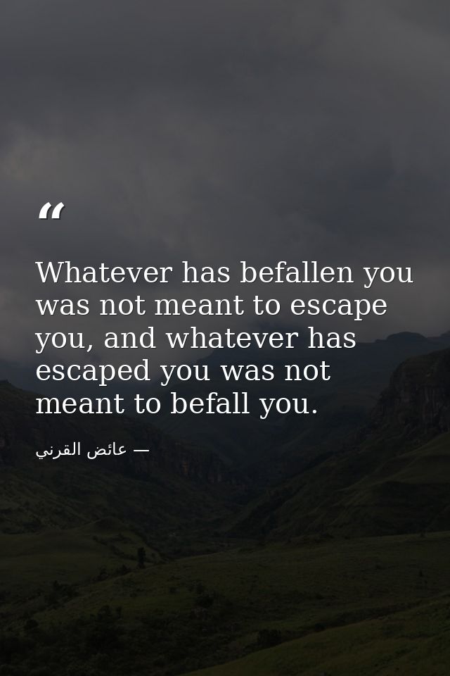 Whatever has befallen you was not meant to escape you, and whatever has escaped you was not meant to befall you. — عائض القرني