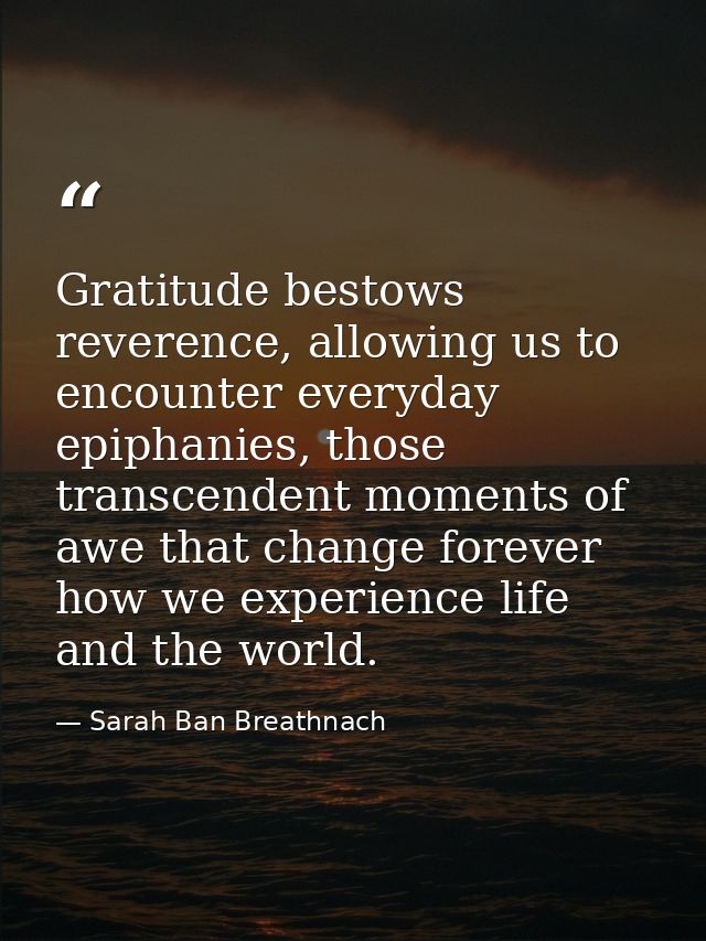 Gratitude bestows reverence, allowing us to encounter everyday epiphanies, those transcendent moments of awe that change — Sarah Ban Breathnach