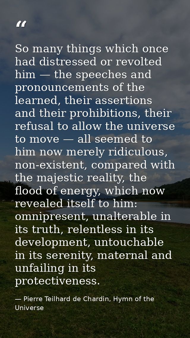 So many things which once had distressed or revolted him — the speeches and pronouncements of the learned, their asserti — Pierre Teilhard de Chardin, Hymn of the Universe