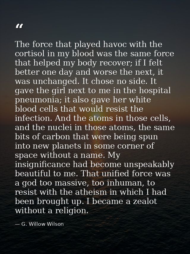 The force that played havoc with the cortisol in my blood was the same force that helped my body recover; if I felt bett — G. Willow Wilson