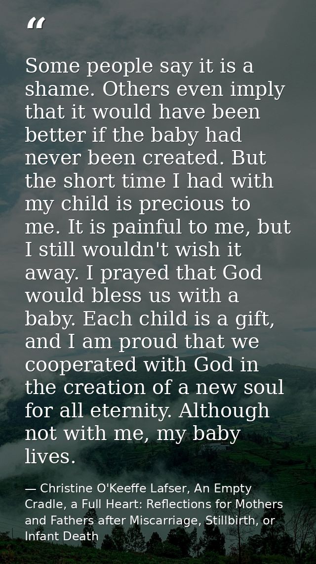 Some people say it is a shame. Others even imply that it would have been better if the baby had never been created. But  — Christine O'Keeffe Lafser, An Empty Cradle, a Full Heart: Reflections for Mothers and Fathers after Miscarriage, Stillbirth, or Infant Death
