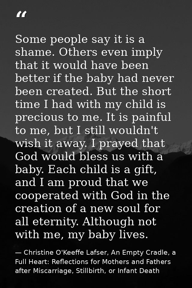 Some people say it is a shame. Others even imply that it would have been better if the baby had never been created. But  — Christine O'Keeffe Lafser, An Empty Cradle, a Full Heart: Reflections for Mothers and Fathers after Miscarriage, Stillbirth, or Infant Death