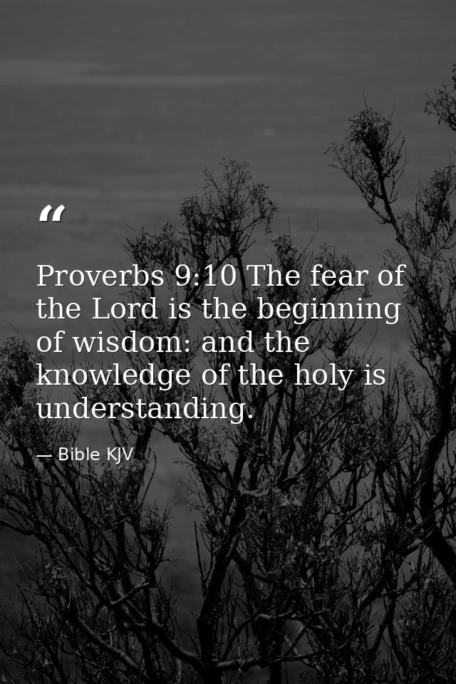Proverbs 9:10 The fear of the Lord is the beginning of wisdom: and the knowledge of the holy is understanding. — Bible KJV