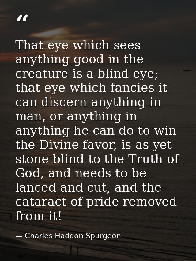 That eye which sees anything good in the creature is a blind eye; that eye which fancies it can discern anything in man, — Charles Haddon Spurgeon