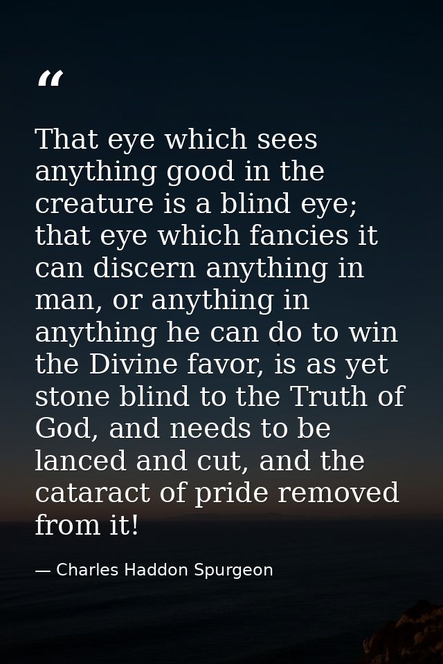 That eye which sees anything good in the creature is a blind eye; that eye which fancies it can discern anything in man, — Charles Haddon Spurgeon