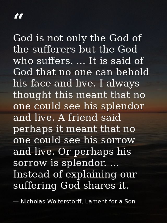 God is not only the God of the sufferers but the God who suffers. ... It is said of God that no one can behold his face  — Nicholas Wolterstorff, Lament for a Son