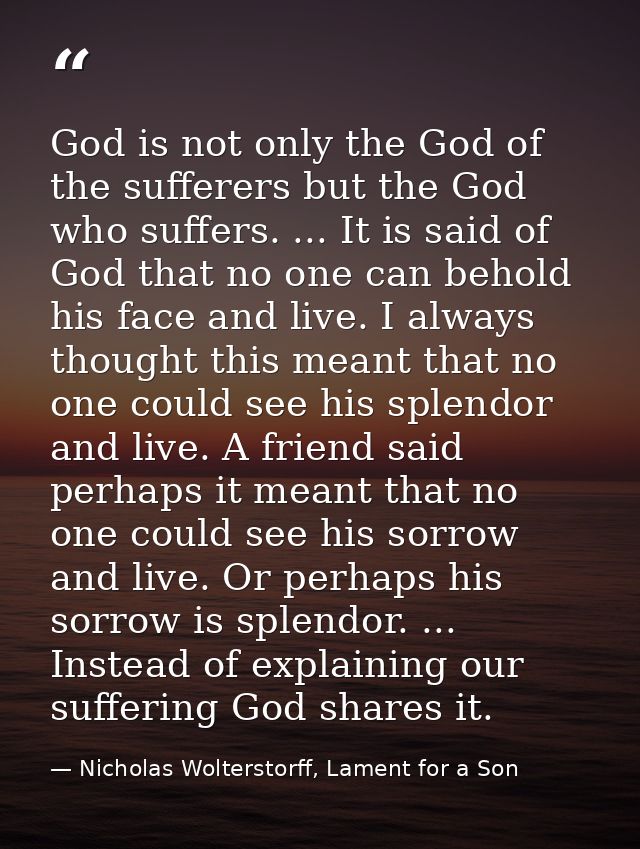 God is not only the God of the sufferers but the God who suffers. ... It is said of God that no one can behold his face  — Nicholas Wolterstorff, Lament for a Son
